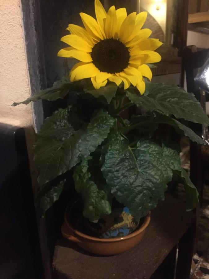 Il Girasole Bed & Breakfast Semorile Exterior foto